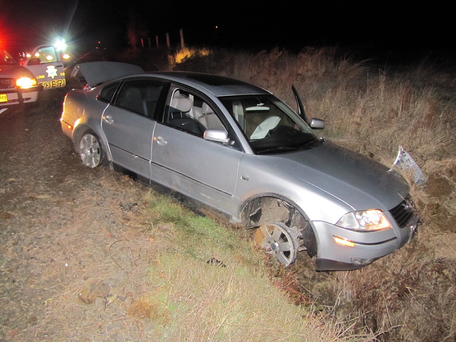Passat Elude Photo
