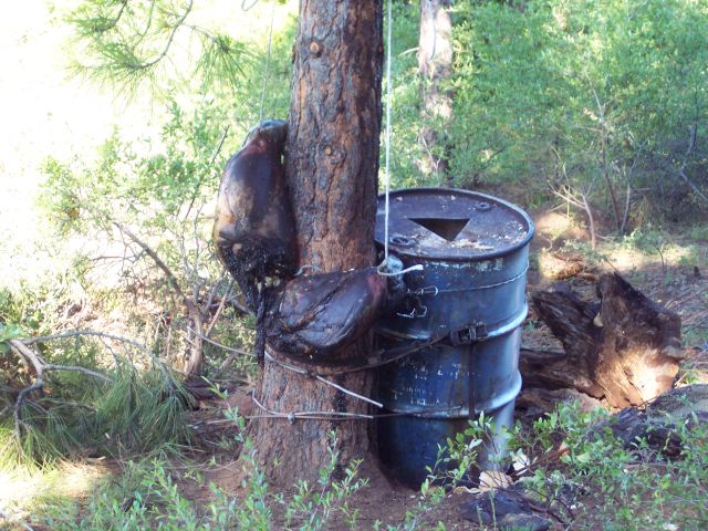 Illegal bear baited barrels
