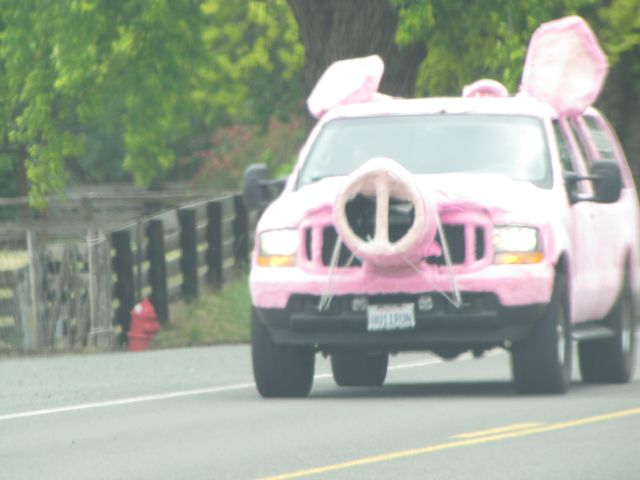 Bullrun Pigvan
