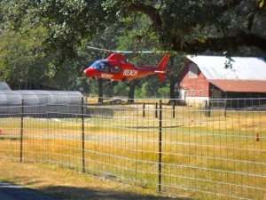 Reach Air Medical Services helicopter flew Ms. Kennedy to Legacy Emmanuel Hospital in Portland Reach Air Medical Services helicopter flew Ms. Kennedy to Legacy Emmanuel Hospital in Portland